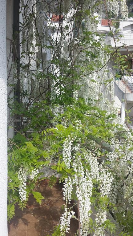 Roman Gardens Studio Apartment Risan Dış mekan fotoğraf